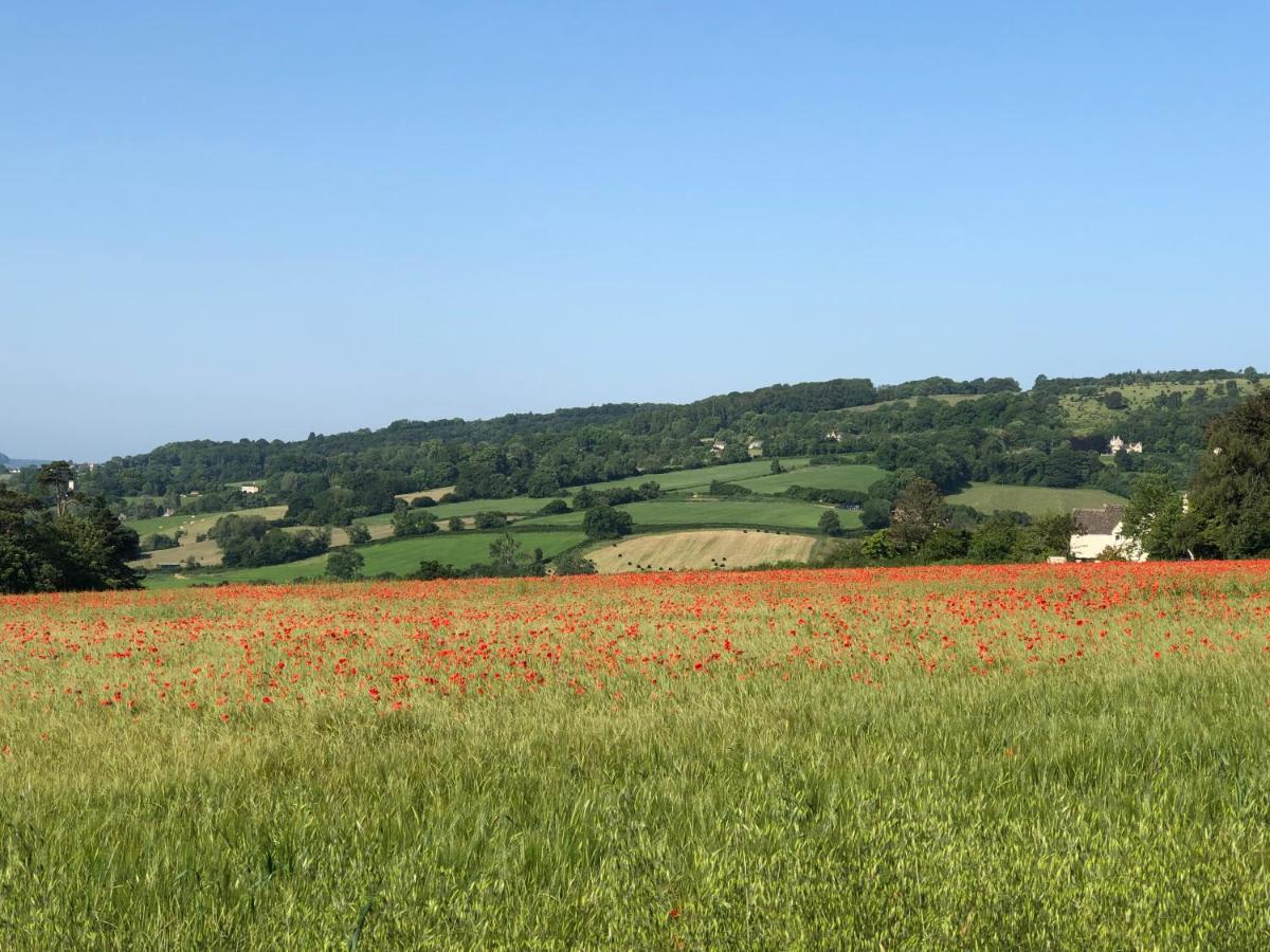 Cotswold Lodge เพนส์วิค ภายนอก รูปภาพ